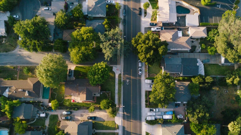 Aerial view of a green urban canopy